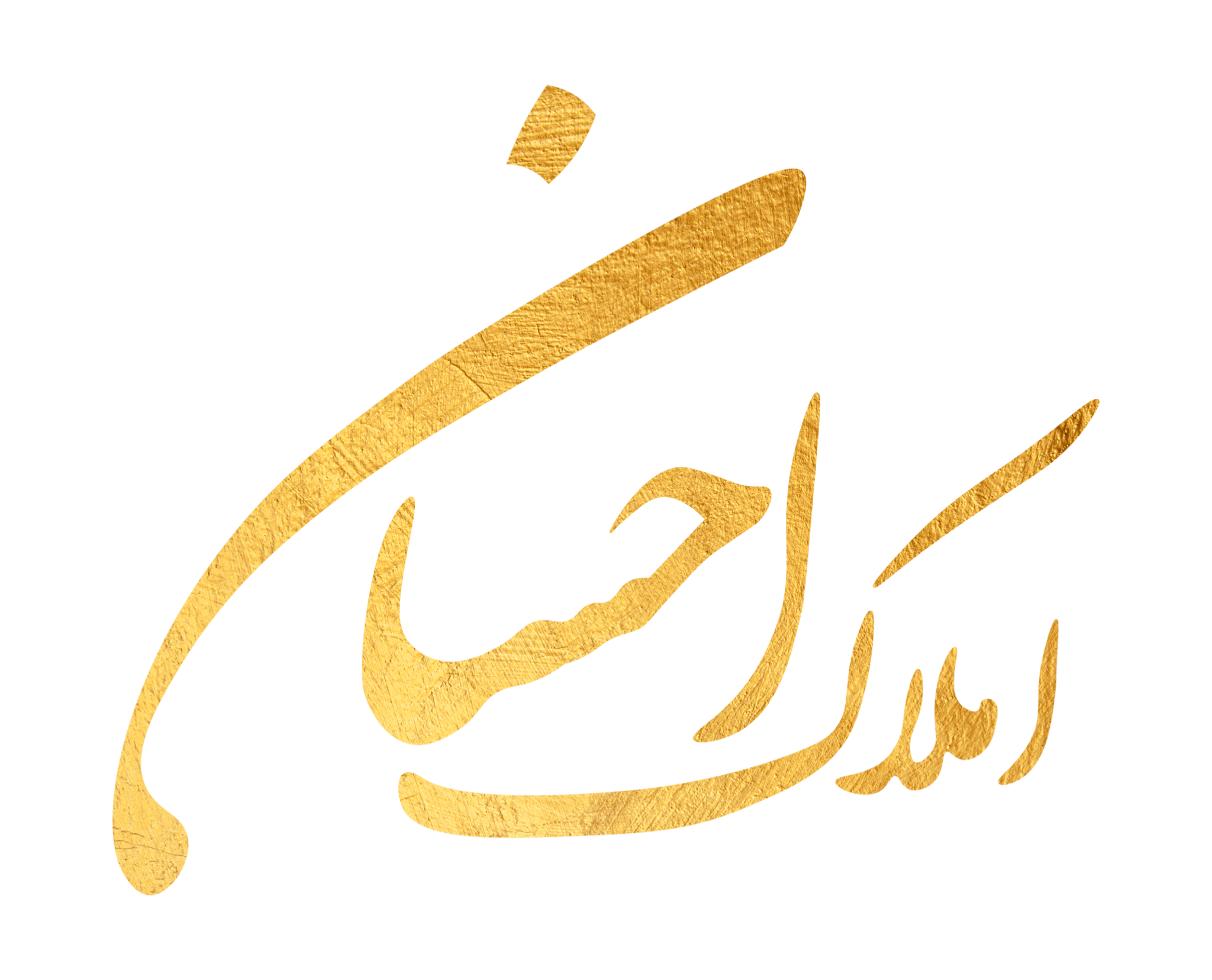 لوگوی مشتری نیروانا